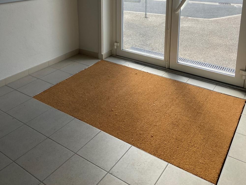 Custom coir brush mats